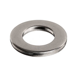 Alloy 20 Flat Washer