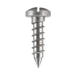 ASTM F468 AISI Titanium Slotted oval head Screws