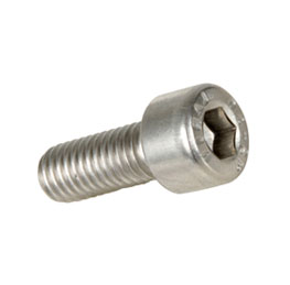 Inconel 601 Socket Cap Screw