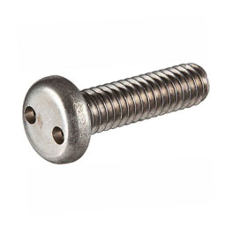 Monel Spanner pan head Screws