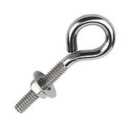 310 Stainless Steel Eye Bolts