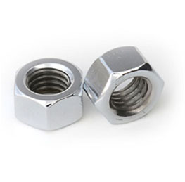 Stainless Steel Nuts